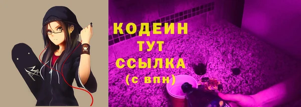 2c-b Козельск