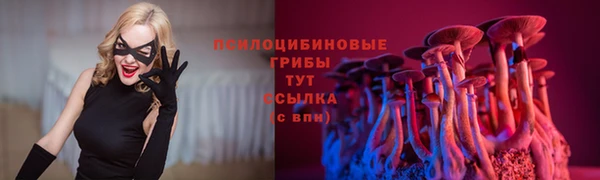 твердый Алексеевка