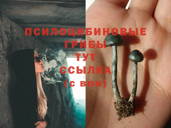 твердый Алексеевка
